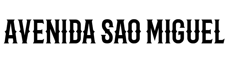 Barbaro Western  Free Fonts Download