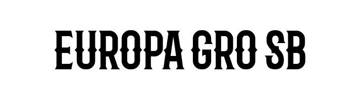 Barbaro Western  Free Fonts Download