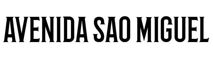 Barbaro Roman  Free Fonts Download