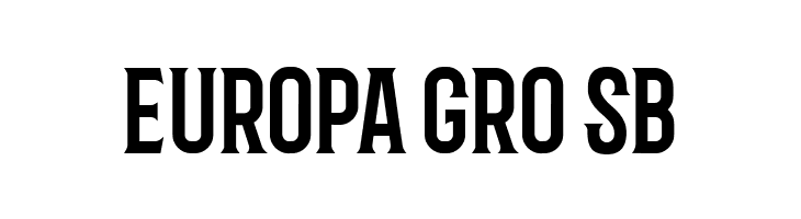 Barbaro Roman  Free Fonts Download