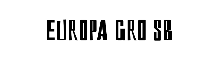 DS Reckoning Cyr  Free Fonts Download