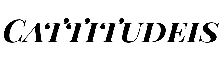 Playfair Display SC Bold Italic  Free Fonts Download