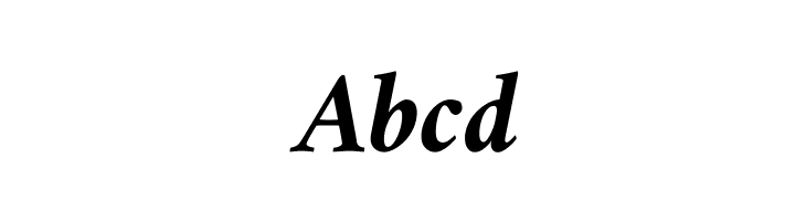 Amiri Bold Italic  Free Fonts Download