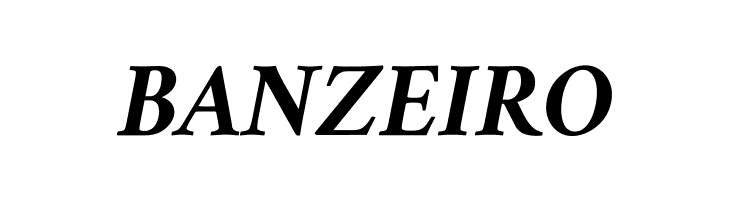 Amiri Bold Italic  Free Fonts Download