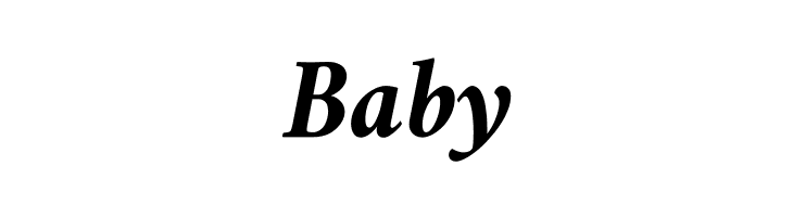 Amiri Bold Italic  Free Fonts Download