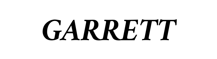 Amiri Bold Italic  Free Fonts Download