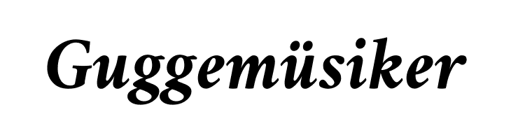 Amiri Bold Italic  Free Fonts Download