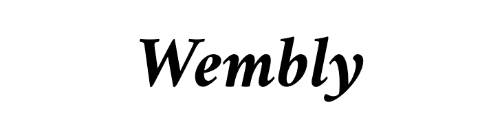 Amiri Bold Italic  Free Fonts Download