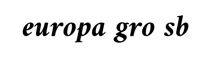 Amiri Bold Italic  Free Fonts Download