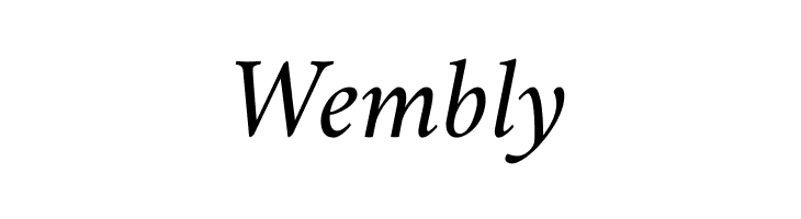 Amiri Italic  Free Fonts Download