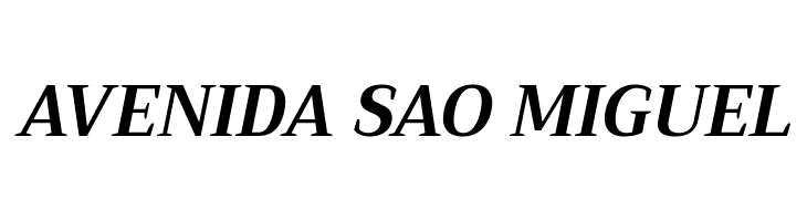 Trirong Bold Italic  Free Fonts Download