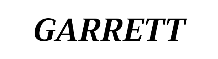 Trirong Bold Italic  Free Fonts Download