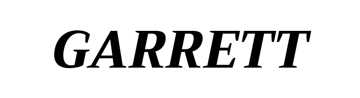 Trirong ExtraBold Italic  Free Fonts Download