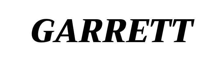 Trirong Black Italic  Free Fonts Download