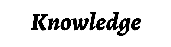 Alegreya ExtraBold Italic  Free Fonts Download