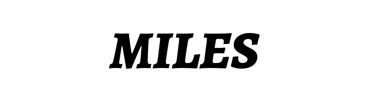 Alegreya ExtraBold Italic  Free Fonts Download