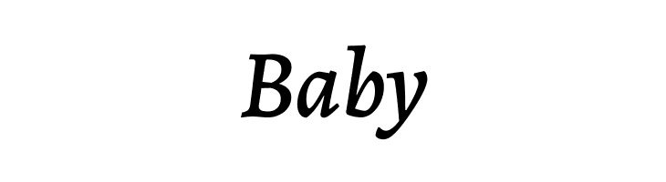 Alegreya Medium Italic  Free Fonts Download