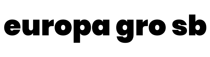 Poppins Black  Free Fonts Download