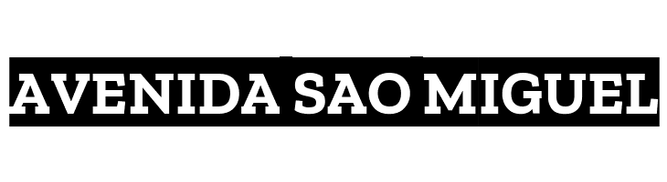 Zilla Slab Highlight Bold  Free Fonts Download