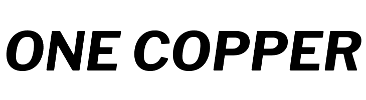 Libre Franklin Bold Italic  Free Fonts Download