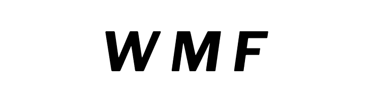 Libre Franklin Bold Italic  Free Fonts Download