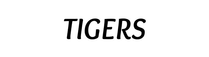 Overlock Bold Italic  Free Fonts Download