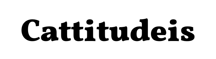 Vollkorn Black  Free Fonts Download