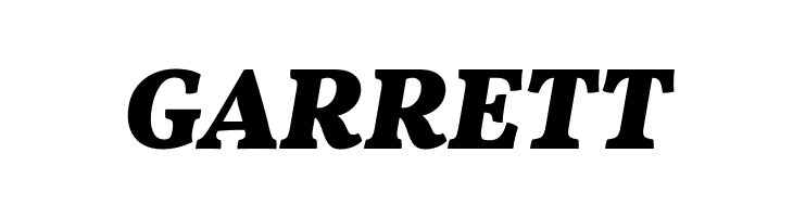 Vollkorn Black Italic  Free Fonts Download