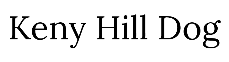 Keny%2BHill%2BDog Lora Regular Font