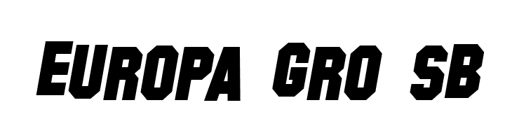Hollywood Hills Bold Italic  Free Fonts Download