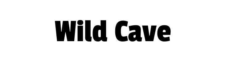 Wild%2BCave Passion One Regular Font