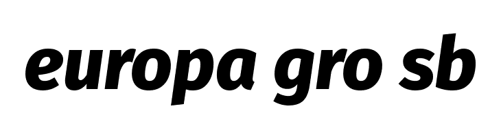 Fira Sans ExtraBold Italic  Free Fonts Download