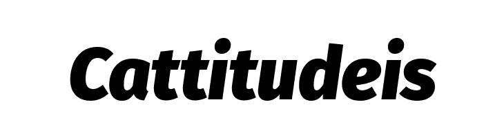 Fira Sans Black Italic  Free Fonts Download