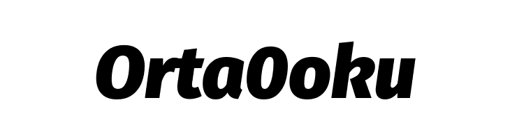 Fira Sans Black Italic  Free Fonts Download