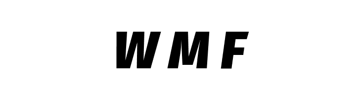 Fira Sans Black Italic  Free Fonts Download