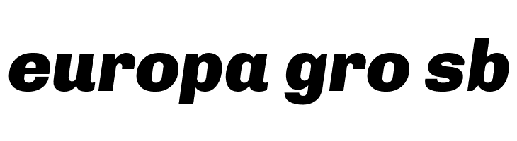 Chivo Black Italic  Free Fonts Download