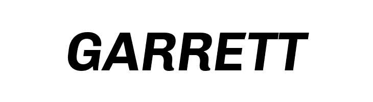 Chivo Bold Italic  Free Fonts Download