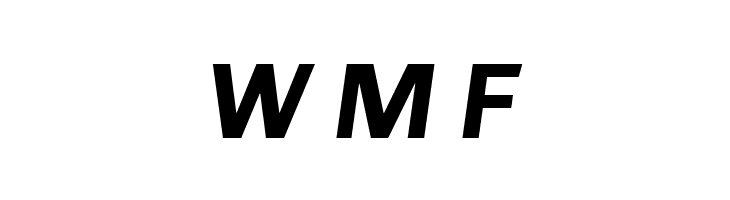 Chivo Bold Italic  Free Fonts Download