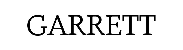 AmstelvarAlpha Default  Free Fonts Download