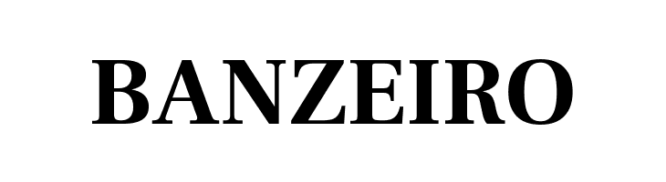 Frank Ruhl Libre Bold  Free Fonts Download