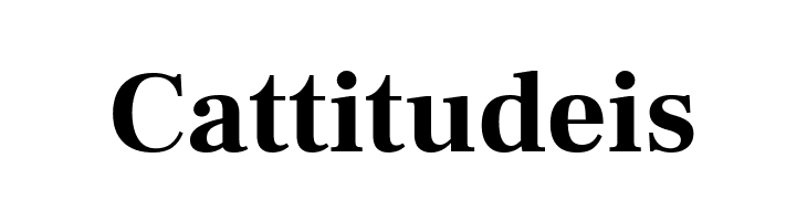 Frank Ruhl Libre Bold  Free Fonts Download