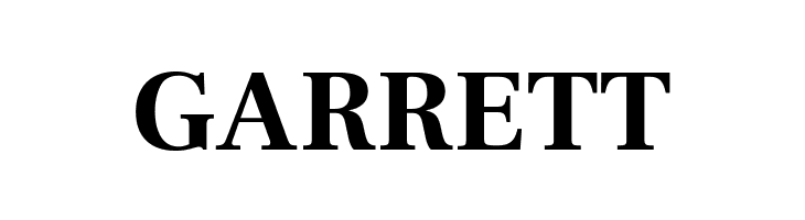 Frank Ruhl Libre Bold  Free Fonts Download