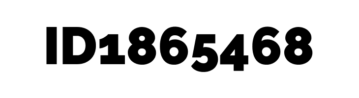 Raleway Black  Free Fonts Download