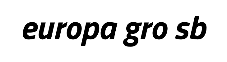 Titillium Web Bold Italic  Free Fonts Download