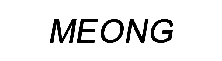 ER Univers 1251 Italic  Free Fonts Download