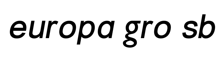 ER Univers 1251 Italic  Free Fonts Download