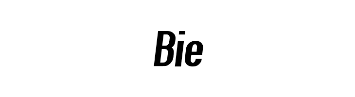 Give A Hoot ExtraBold Extended Oblique  Free Fonts Download