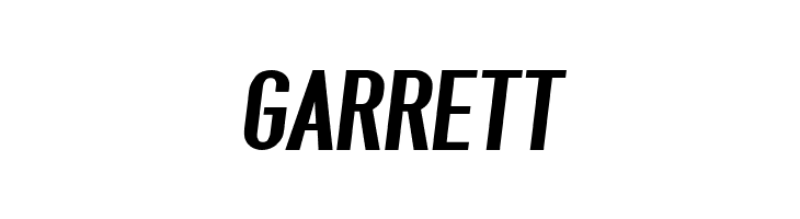 Give A Hoot ExtraBold Oblique  Free Fonts Download