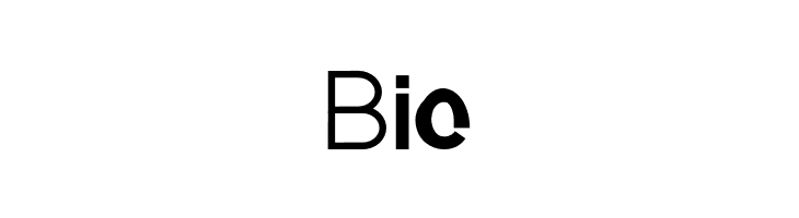 BoldOblique  Free Fonts Download