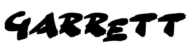 Go Faster Brush  Free Fonts Download